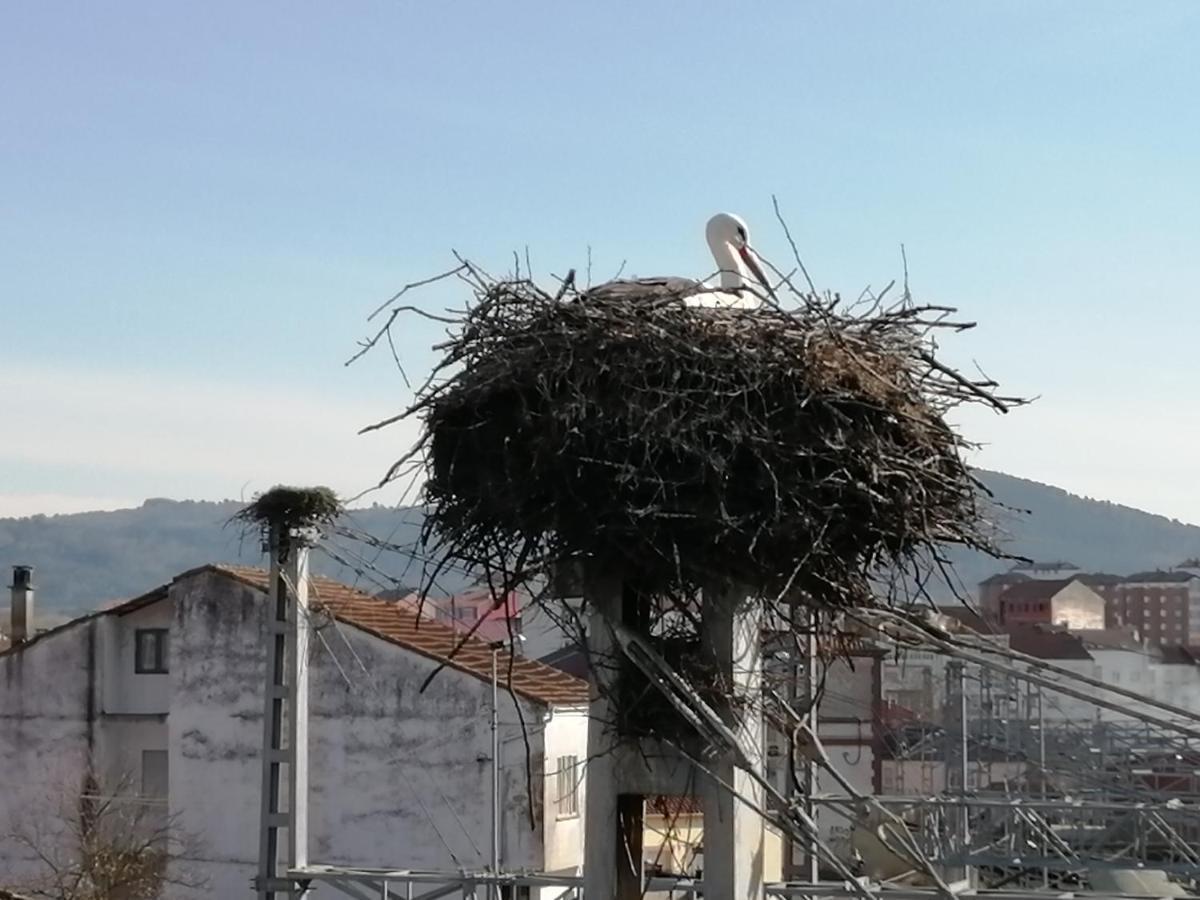 Apartamento Lemavos Monforte De Lemos Εξωτερικό φωτογραφία